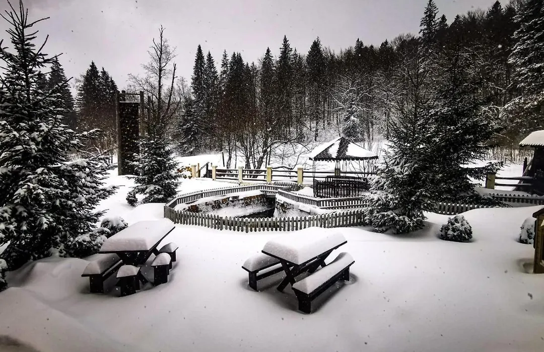Hotel Draga Maria-1