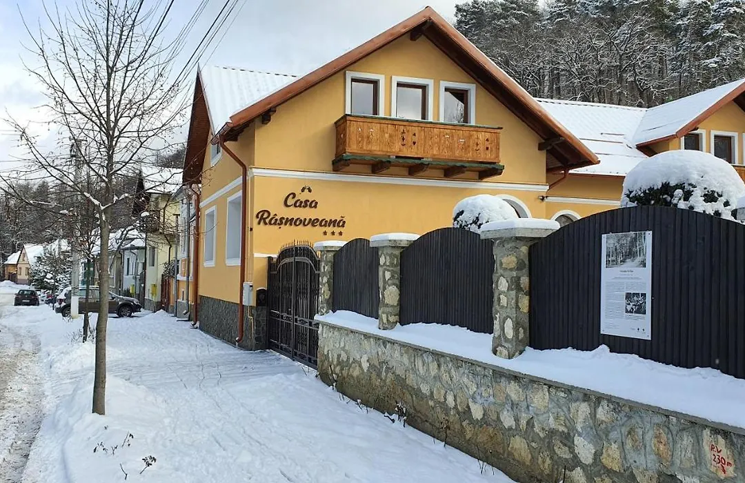 Casa Rasnoveana-1