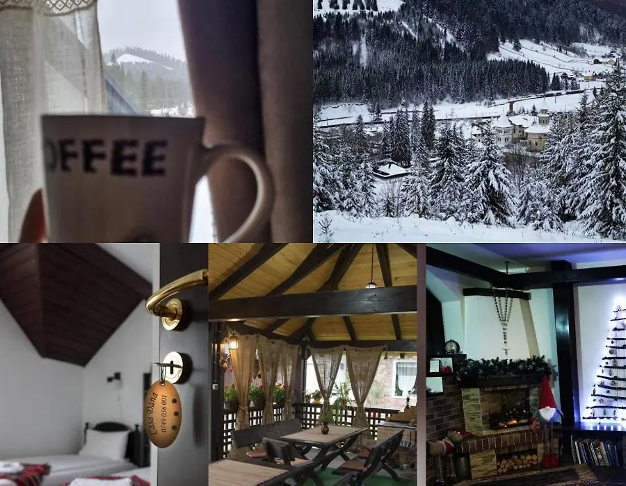 Casa Dana Putna Bucovina-1