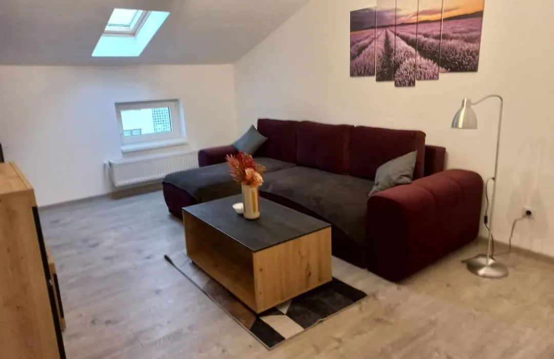Collot Residence Sibiu-1