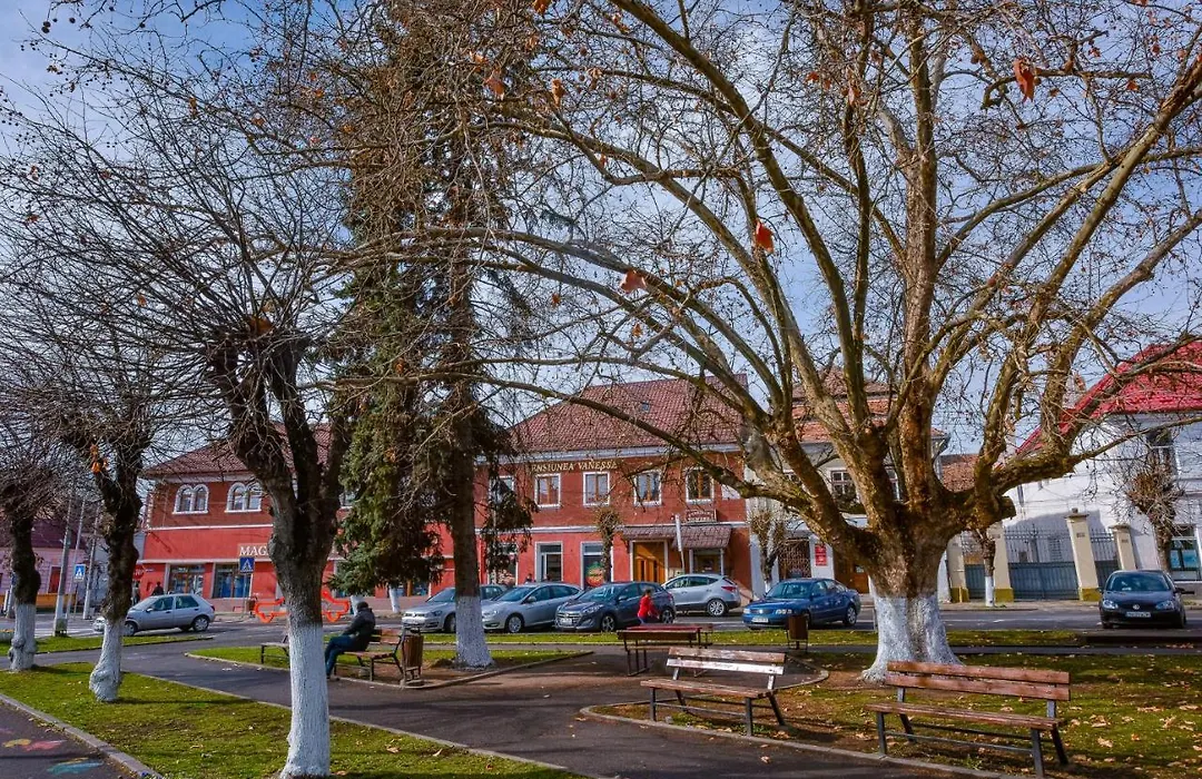 Pensiunea Vanessa-1