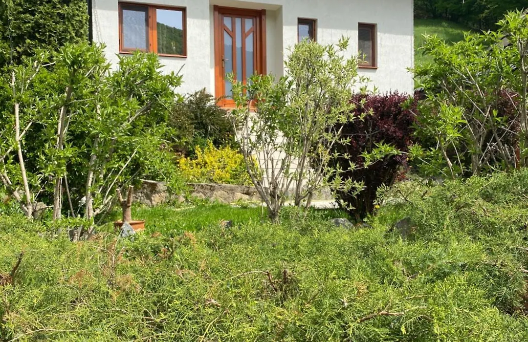 Casa dintre Brazi Hunedoara-1