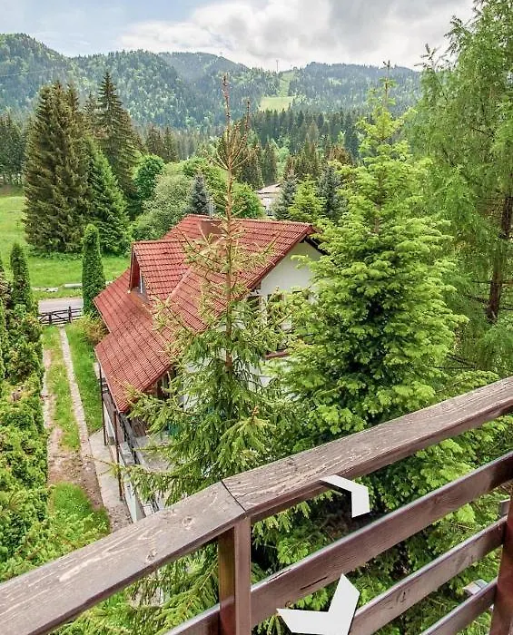 Best View-1