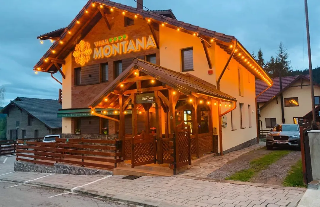Villa Montana Borsec - Vedere Munte-1