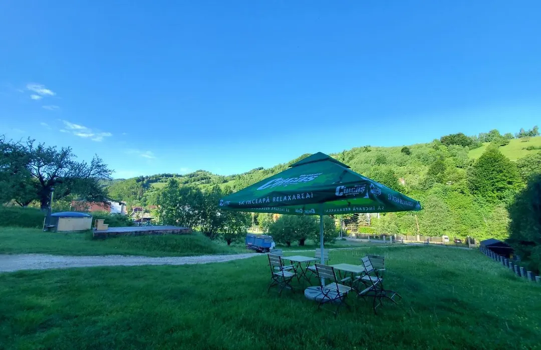 Guesthouse Bran-1