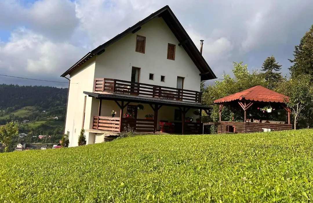 Casa Viorica-1