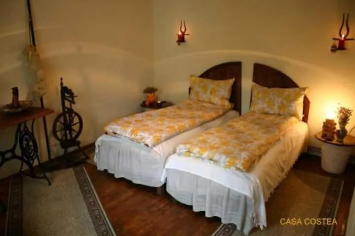 Casa Costea-1