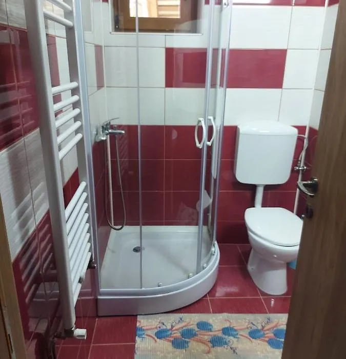Vila Ioana-1