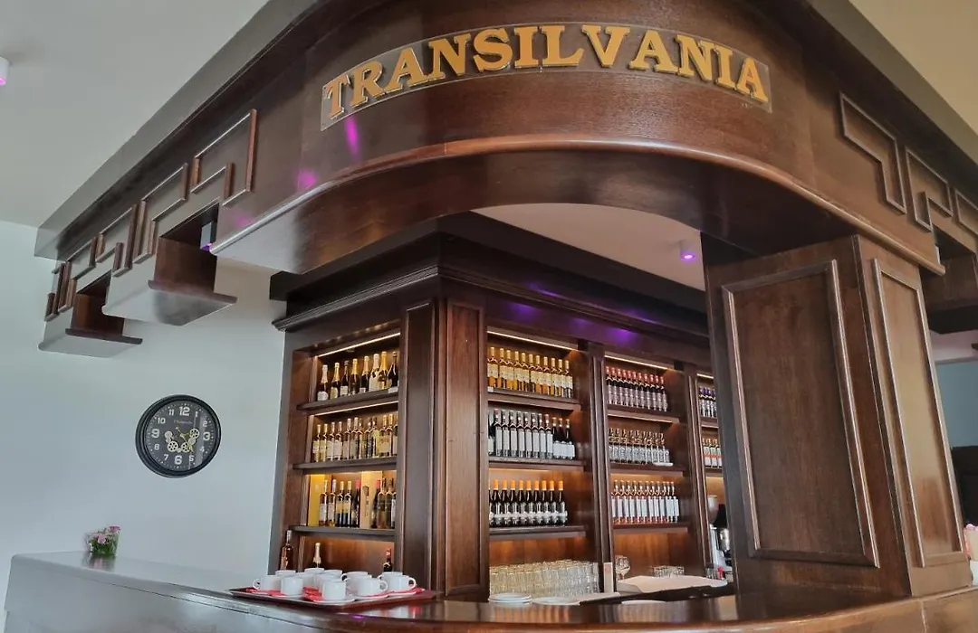 VILA Restaurant Transilvania-1