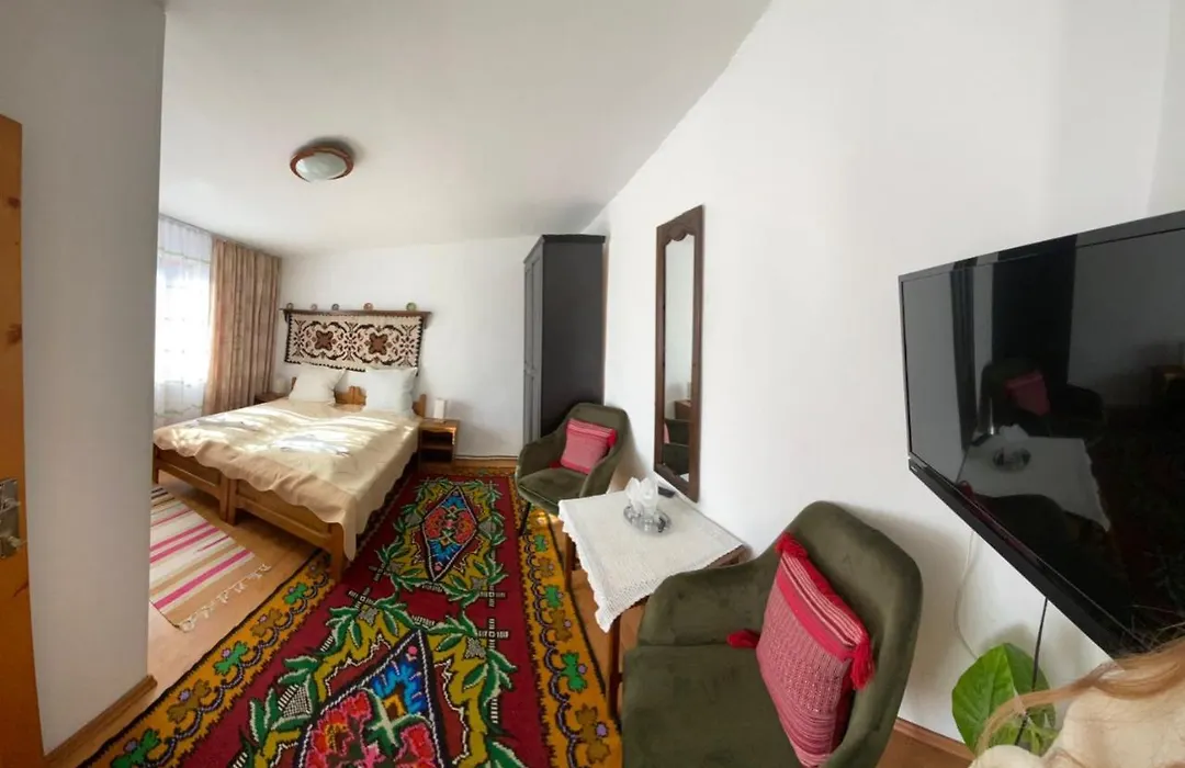 Pensiunea Casa Bianca - Bucovina-1