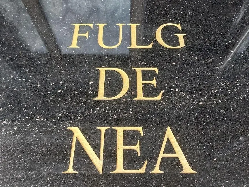 Fulg De Nea-1