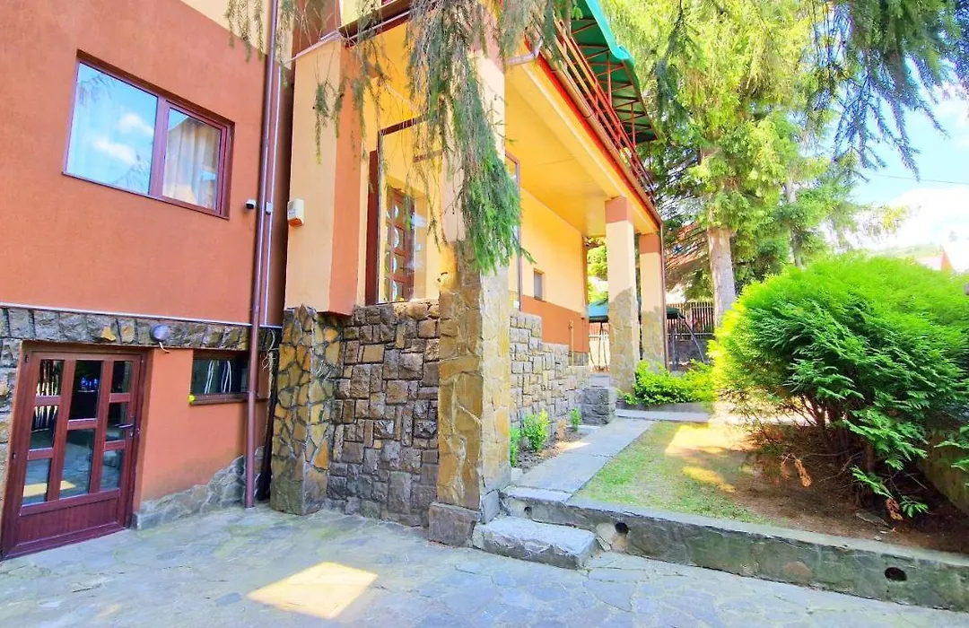 Casa cu Brazi-1