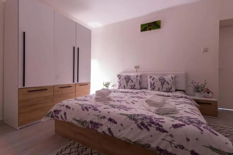 Casa Cu Lavanda-1
