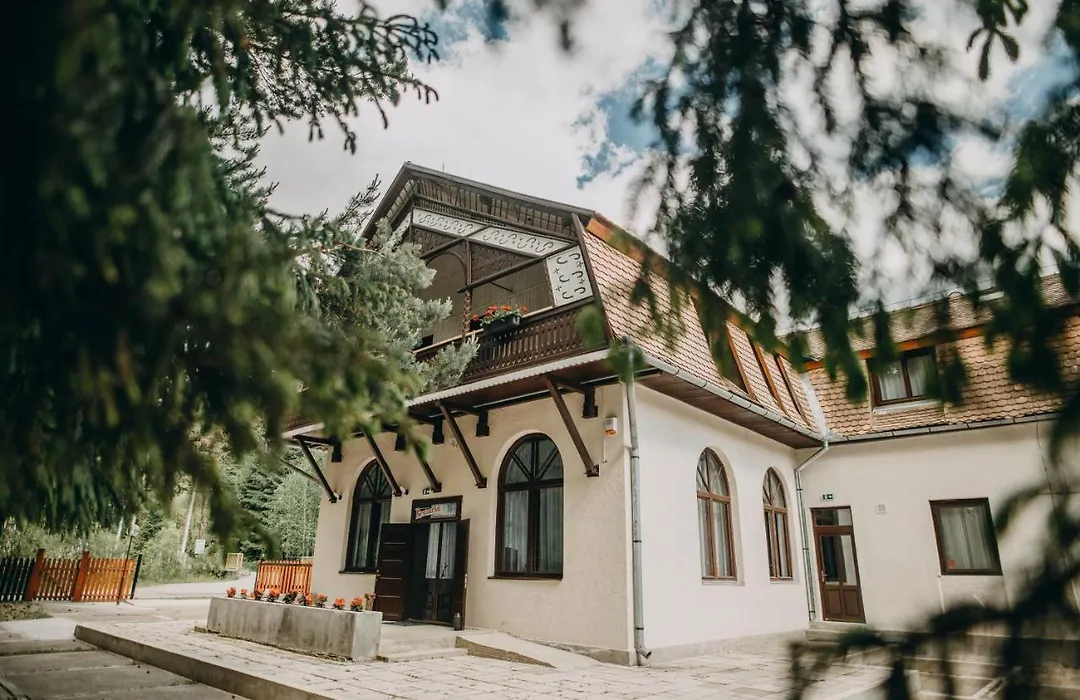 Pensiune și Camping Patru - Gheorgheni-1
