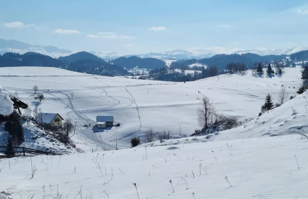 Pensiunea Crai Nou-1
