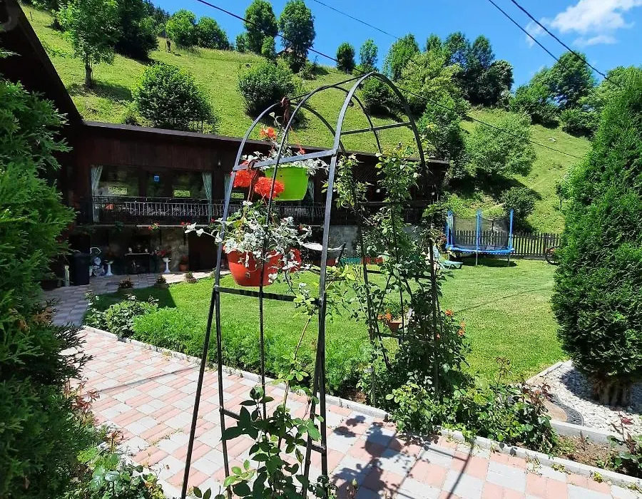 Casa Dana Olteanu-1