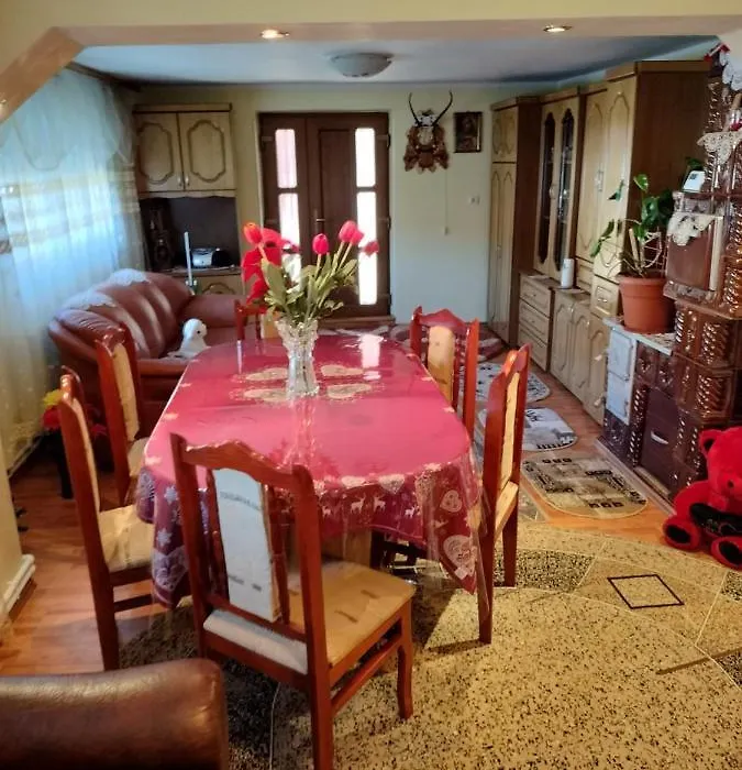 Casa Tudor-Nicolae-1