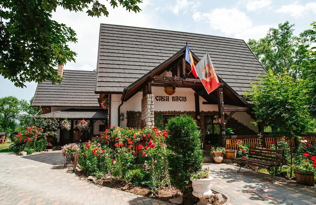 Casa Baciu-1
