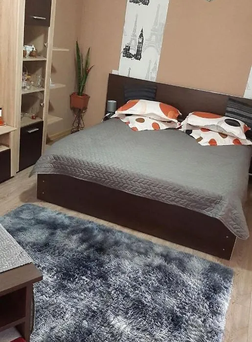 Vila Adelin Busteni-1