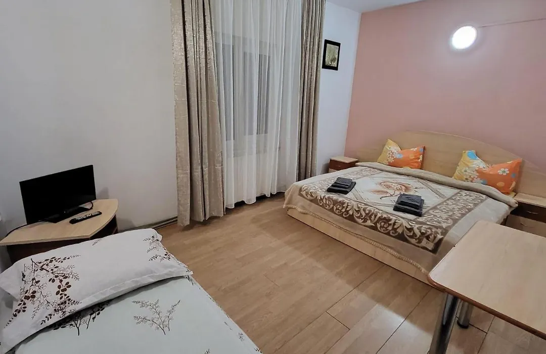 Vila 41 Busteni-1
