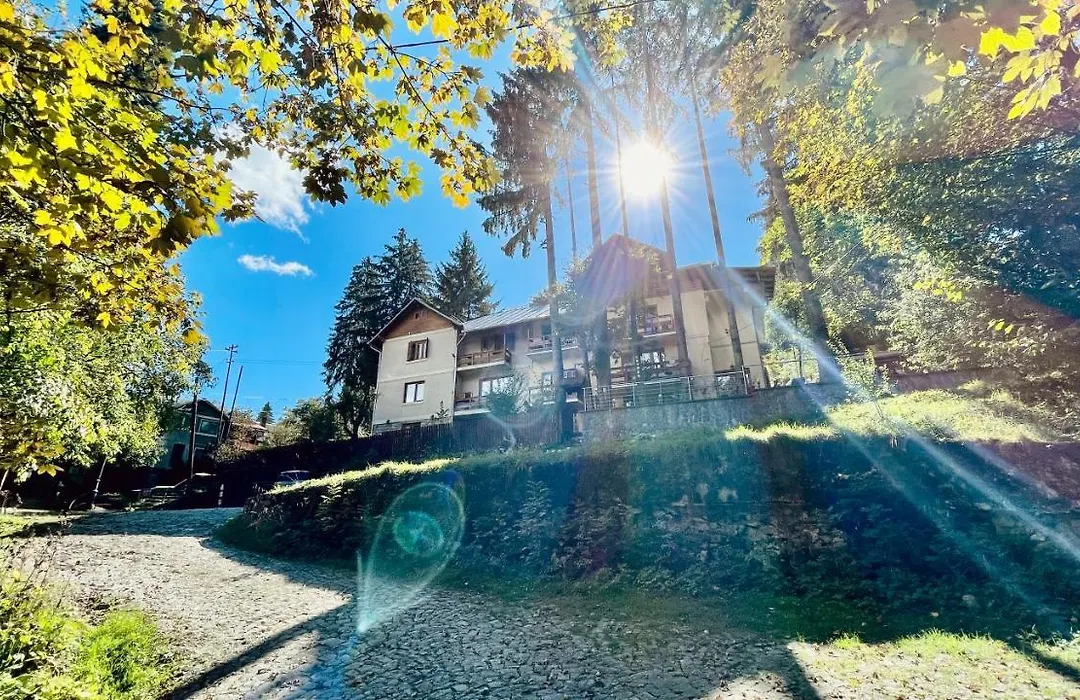 Casa Sion Sinaia-1