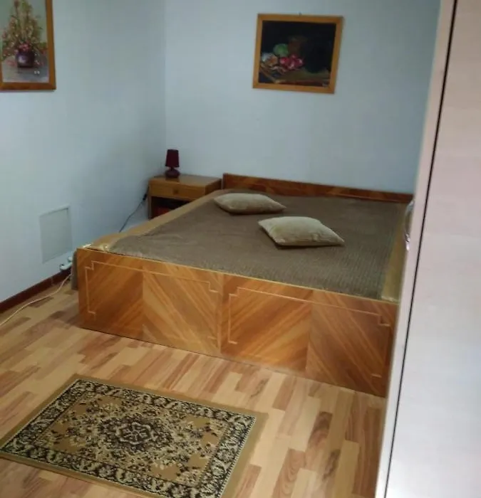 Casa Puiu-1