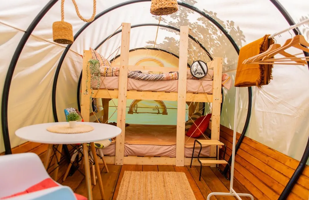 Dragonfly Gardens - The Wagons-1