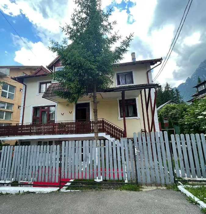 Constantinescu A.-1