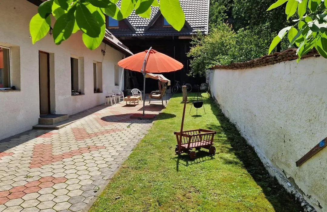 Casa De Oaspeti " Rodica"-1