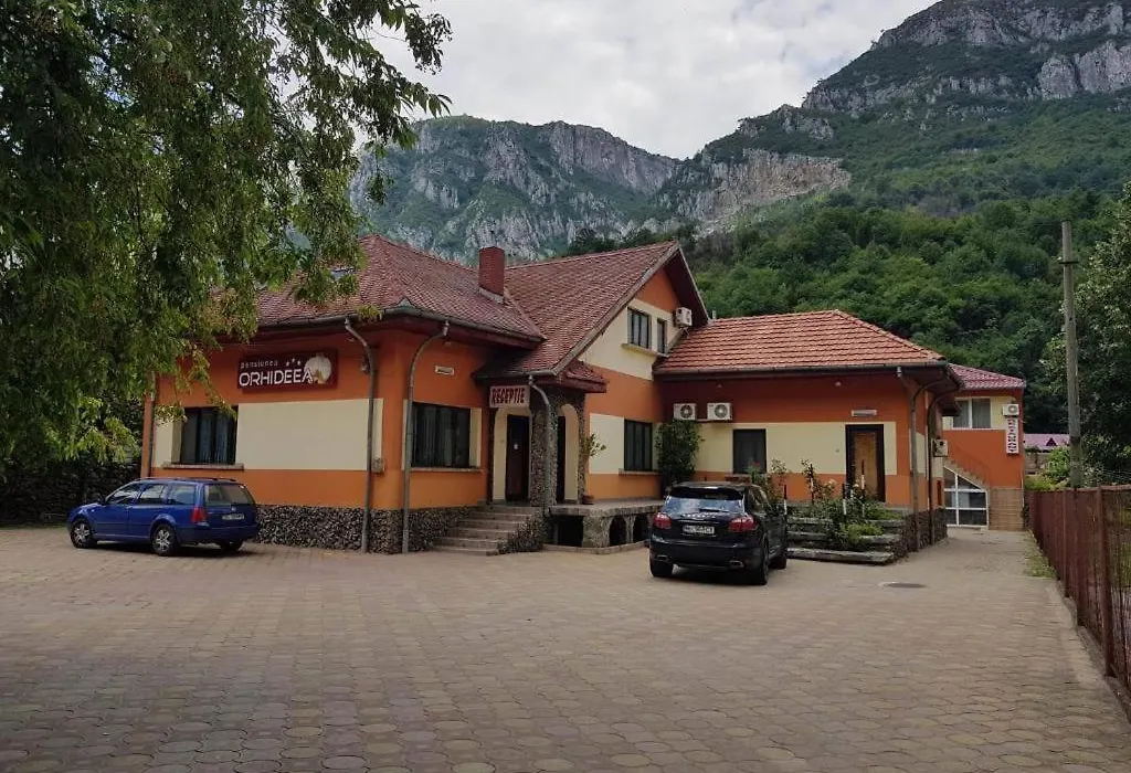 Casa Orhideea-1