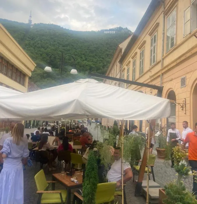 Green Vibes Central Brasov-1