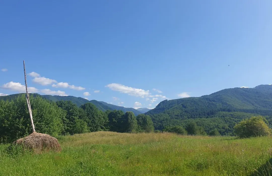 Valea Doamnei-1