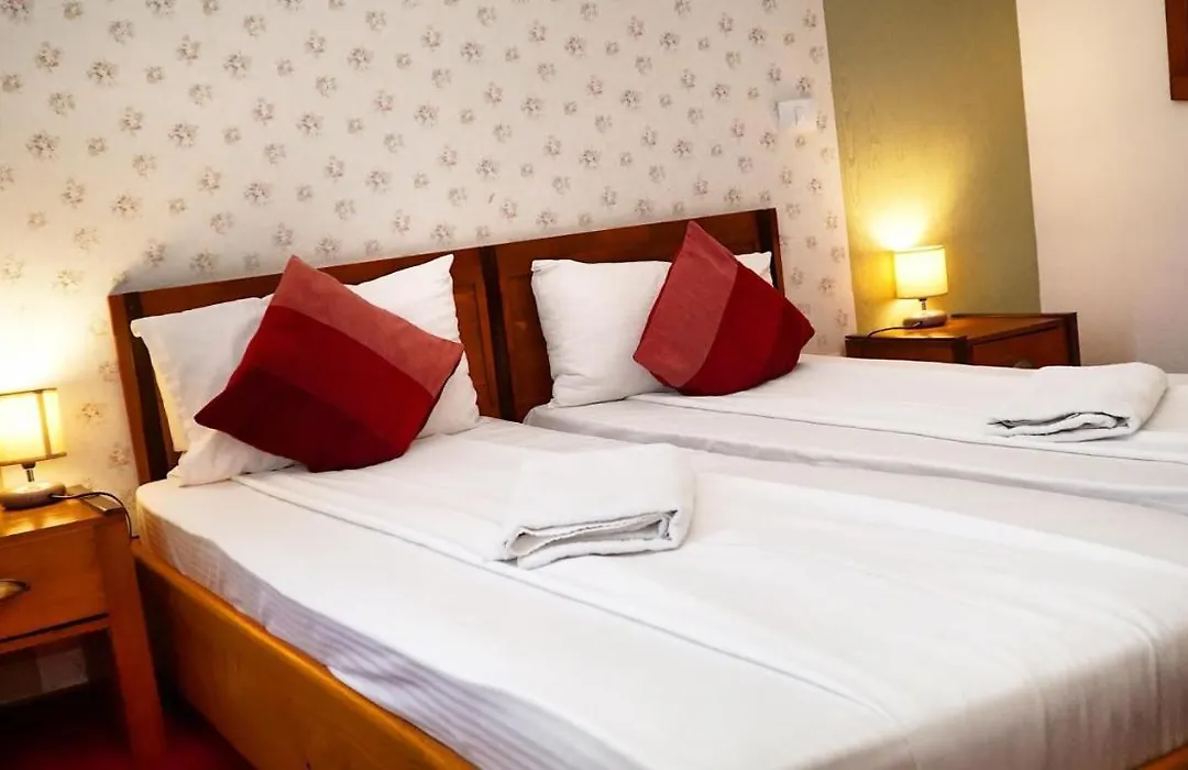 Pensiunea Classic Hotel-1