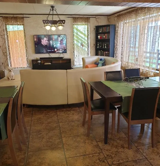 Vila Bianca Dragusin-1