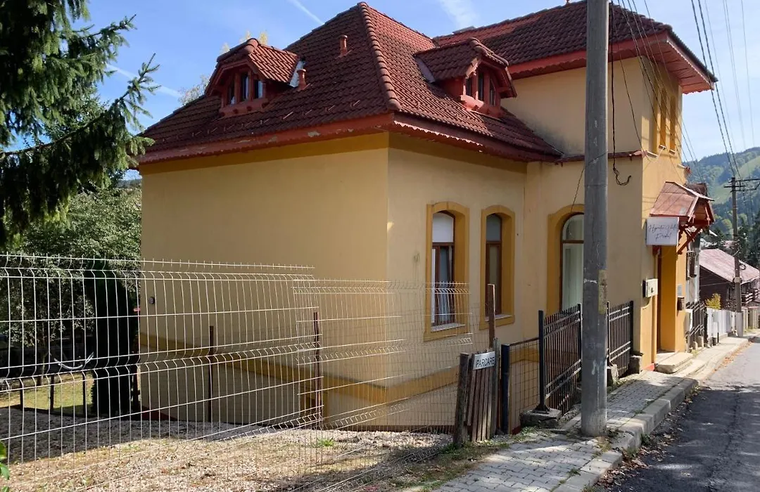 Hypnotic Villa Predeal-1