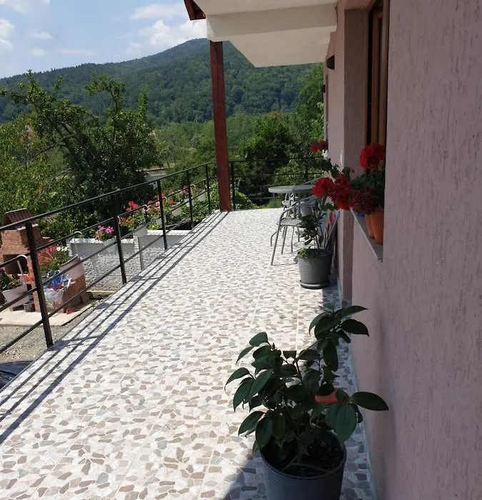 Casa Luci&Matei-1