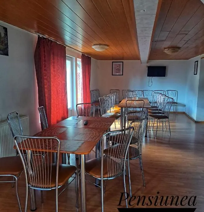 Pensiunea Paradis-1