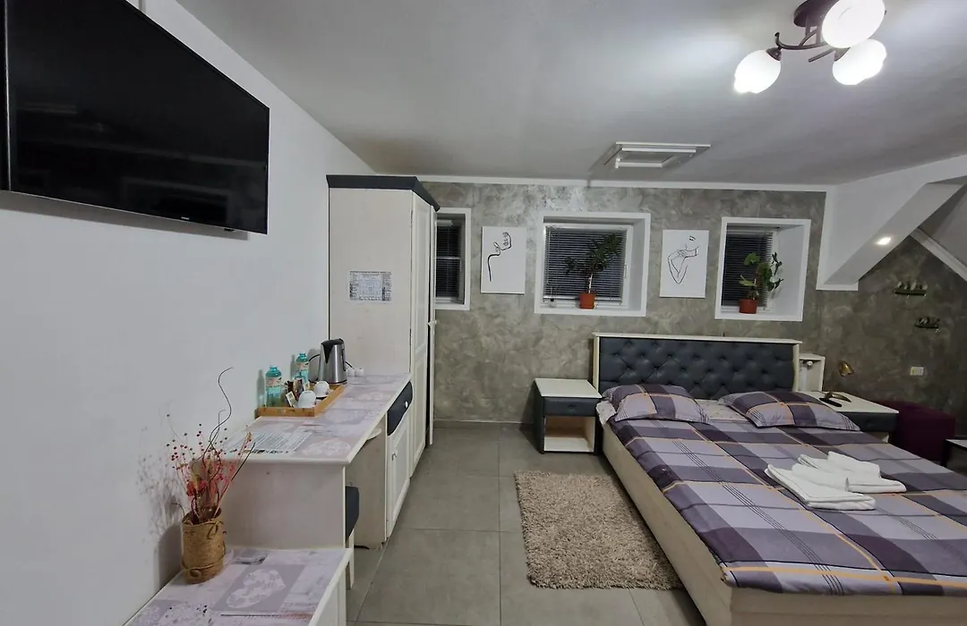 Cazare MOLDI - regim hotelier-1