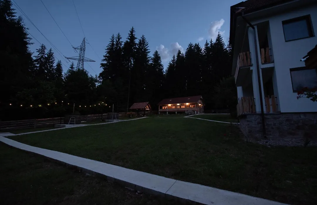 Forest Resort-1