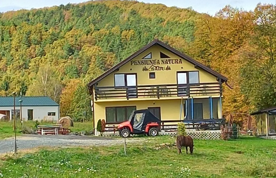 Pensiunea Natura Sadu-1