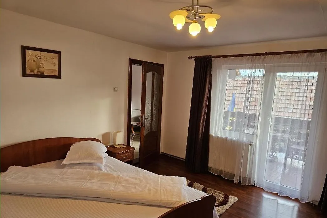 Vila Vlăduț-1