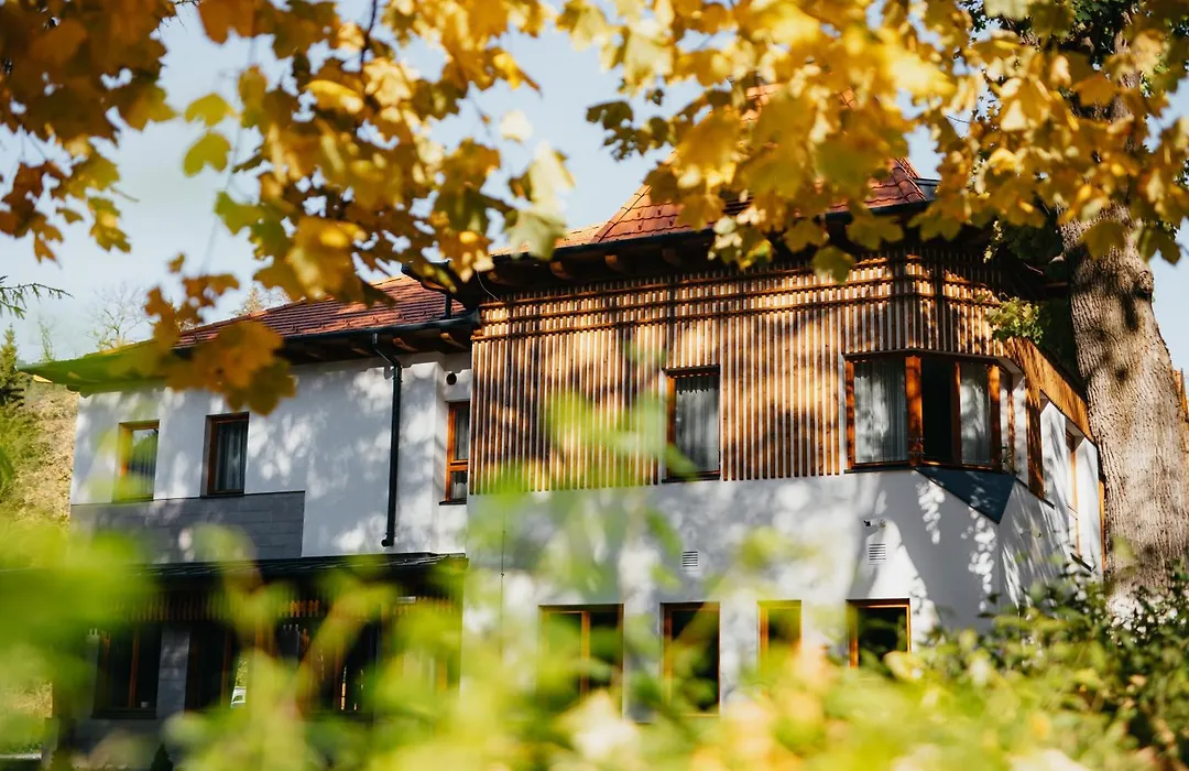 Villa Bellini Borszek-1