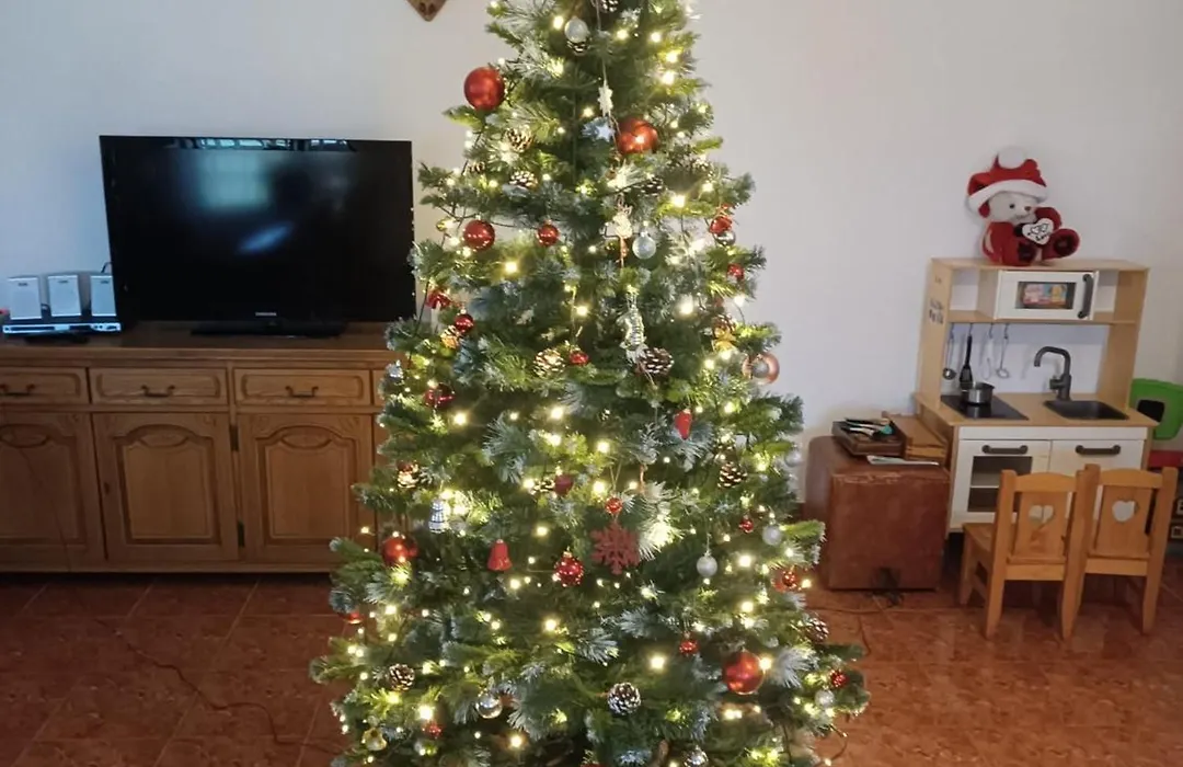 Casa cu Păuni-1