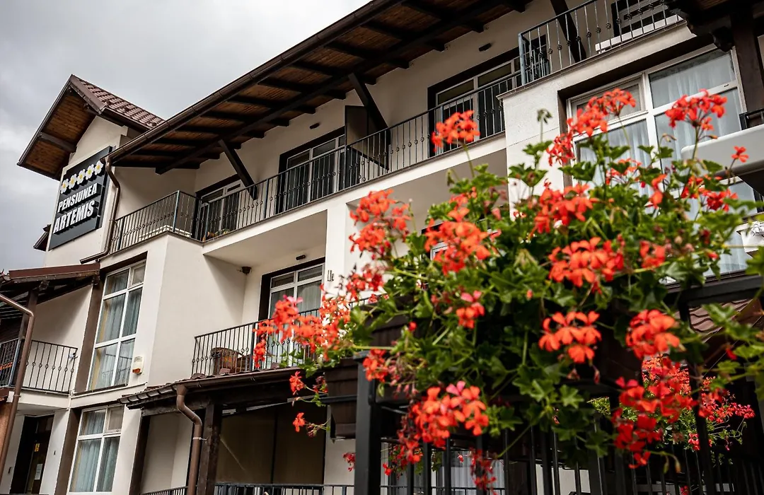 Artemis Villa-1