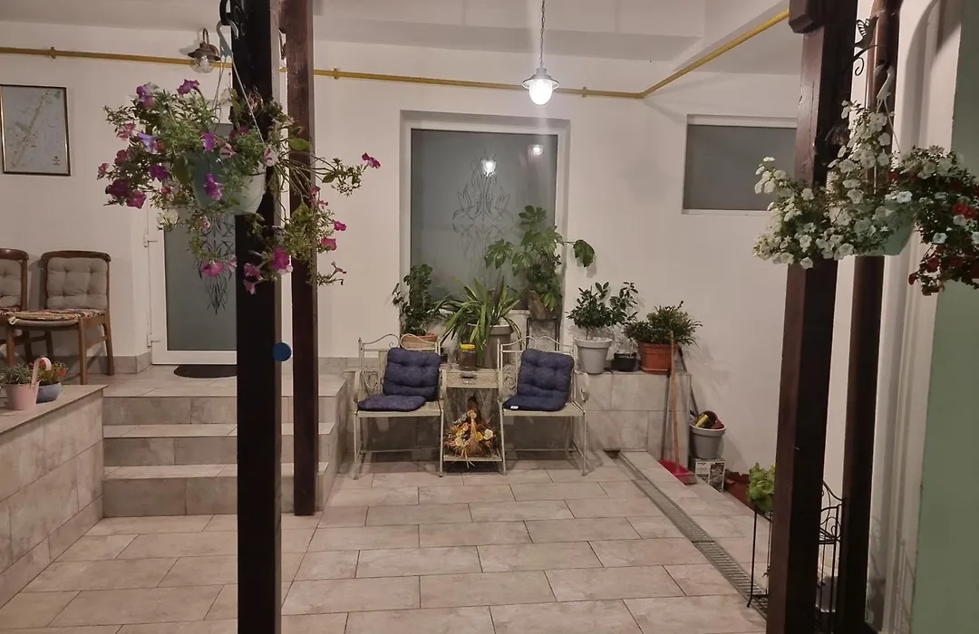 Casa Musceleana-1