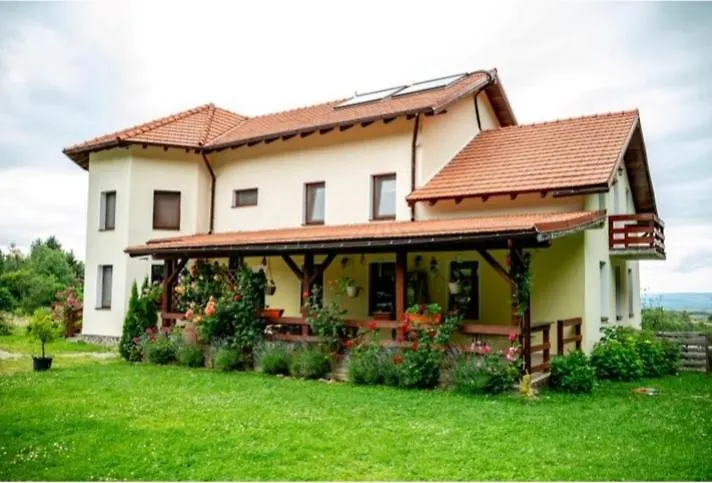 Pensiunea Rozelor Sâmbăta de Sus-1