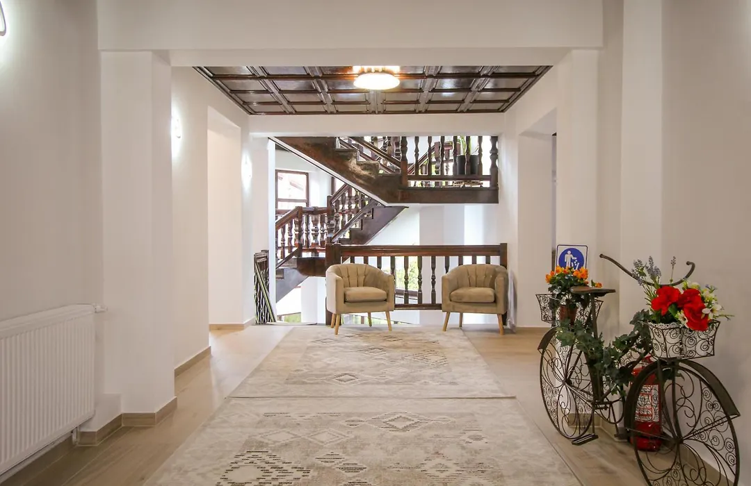 Vila Smaranda-1