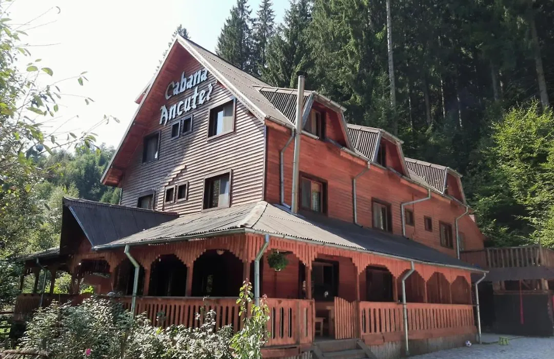 Cabana Ancutei-1