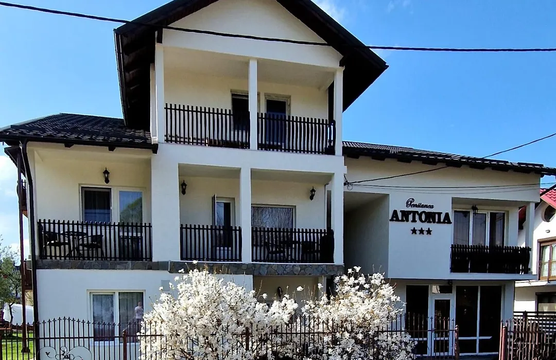 Pensiunea Antonia-1