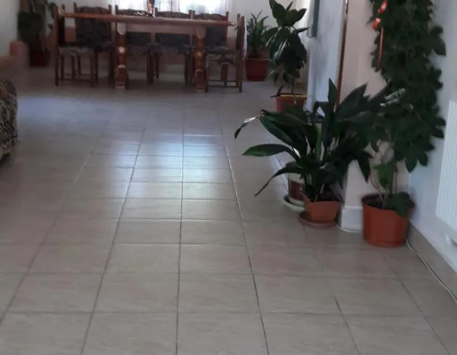 Casa Elena Eselnita-1